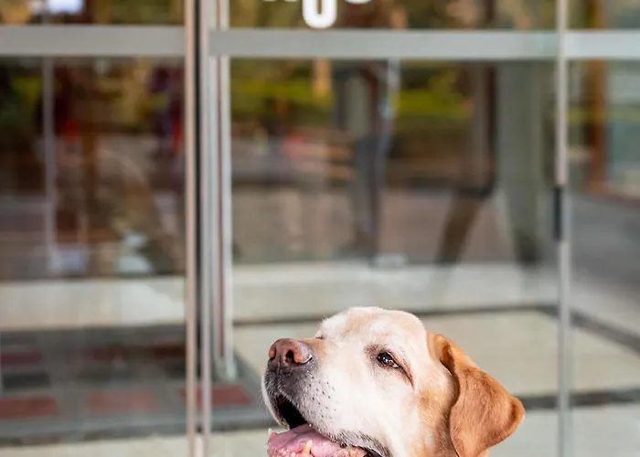 Hotel Ibis London Excel-Docklands